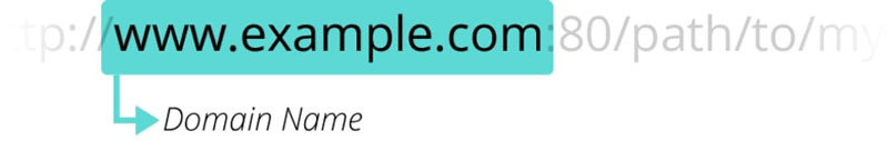 Domain Name (tên miền)