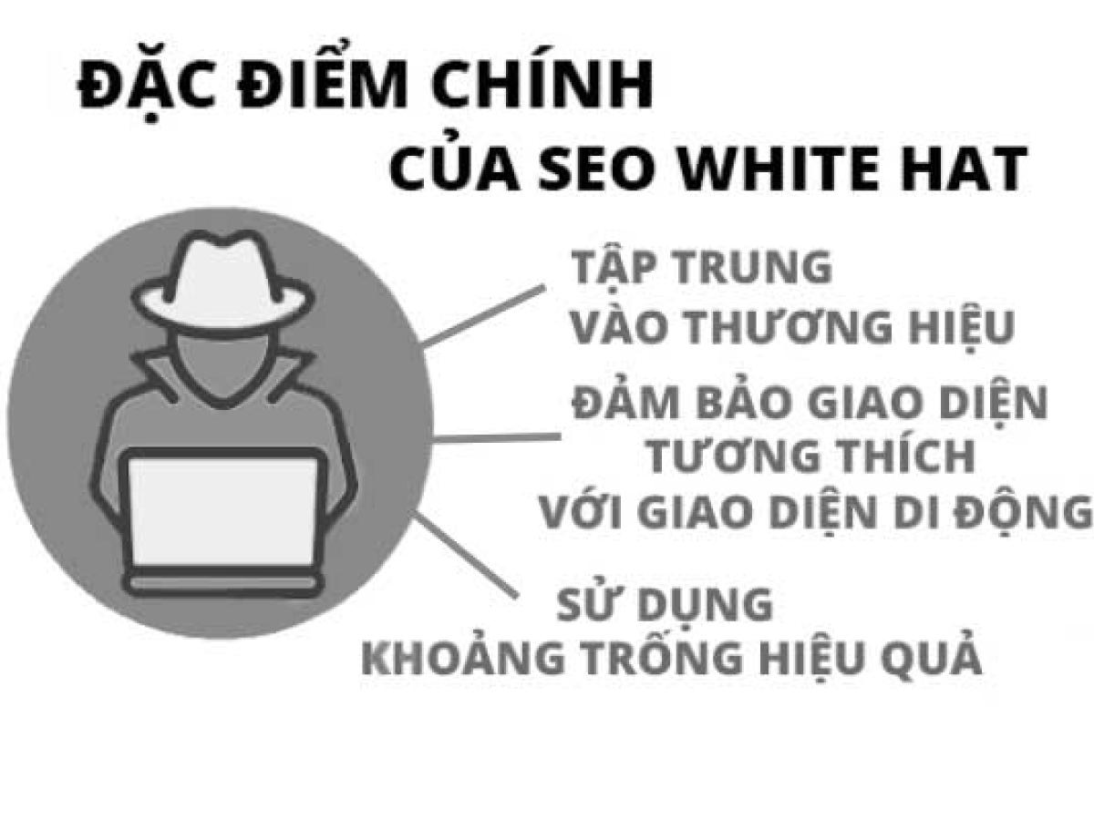 CÁC YẾU TỐ TẠO NÊN SEO WHITE HAT